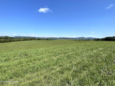 (private lake, pond, creek) Acreage For Sale in Mosheim Tennessee