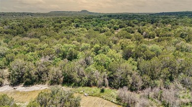 Lake Granbury Acreage For Sale in Granbury Texas
