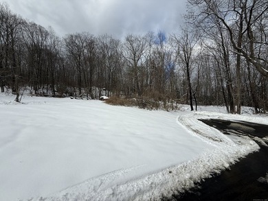 99 Hubbard St. - Private Lot Near Downtown & Highland Lake - photo 2