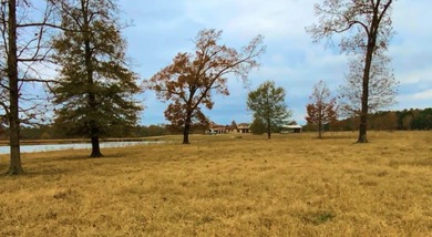Premier East Texas Legacy 3,000 acre Ranch minutes from Longview - photo 2