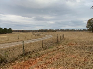 Premier East Texas Legacy 3,000 acre Ranch minutes from Longview - photo 3