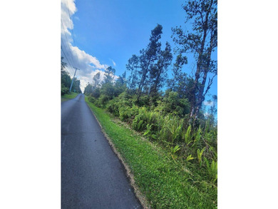 Road 1 (Uhini Ana) has been resurfaced! It is freshly paved all - photo 4