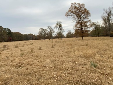 Premier East Texas Legacy 3,000 acre Ranch minutes from Longview - photo 4