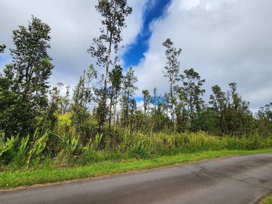 Road 1 (Uhini Ana) has been resurfaced! It is freshly paved all - photo 5