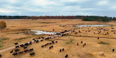 Premier East Texas Legacy 3,000 acre Ranch minutes from Longview - photo 7