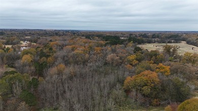 Premier East Texas Legacy 3,000 acre Ranch minutes from Longview - photo 8