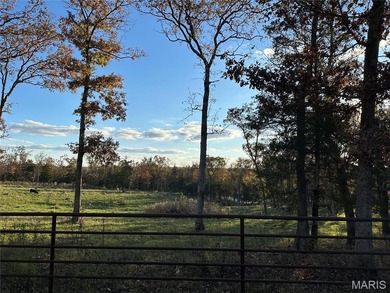 Lake Home For Sale in Owensville, Missouri