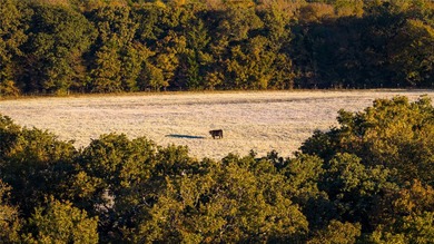 Red Hill Ranch is a turnkey 230+/- acre retreat within - photo 28