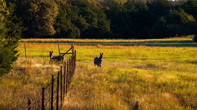 Red Hill Ranch is a turnkey 230+/- acre retreat within - photo 33