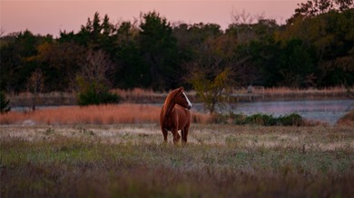 Red Hill Ranch is a turnkey 230+/- acre retreat within - photo 34