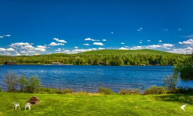 Set along the shoreline of Lower Saranac Lake within the - photo 40
