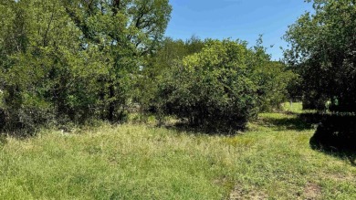 Lake Lot For Sale in Kingsland, Texas