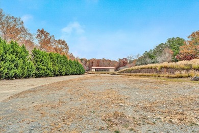 Two parcels for a total of 10+ acres with a combined shoreline - photo 17