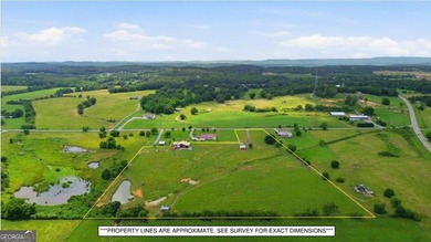 (private lake, pond, coastal) Acreage For Sale in Adairsville Georgia