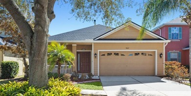 (private lake, pond, coastal) Home Sale Pending in Tampa Florida