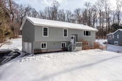 Lake Home For Sale in Sherman, Connecticut