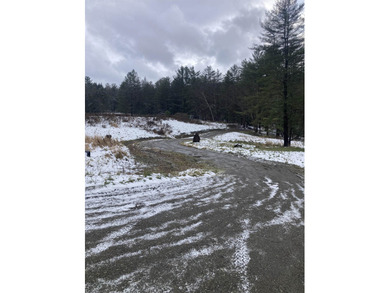 (private lake, pond, creek) Acreage For Sale in Johnson Vermont