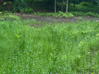 This unique piece of Vermont is now available, offering 10+- - photo 4