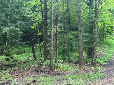 This unique piece of Vermont is now available, offering 10+- - photo 6