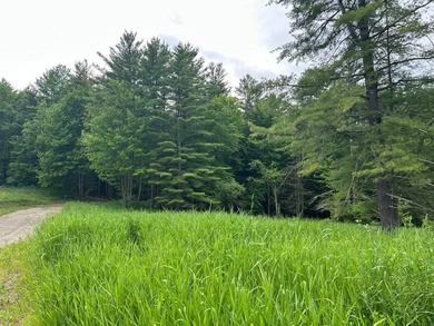 This unique piece of Vermont is now available, offering 10+- - photo 8