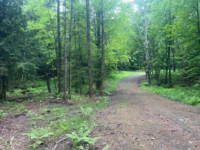 This unique piece of Vermont is now available, offering 10+- - photo 9