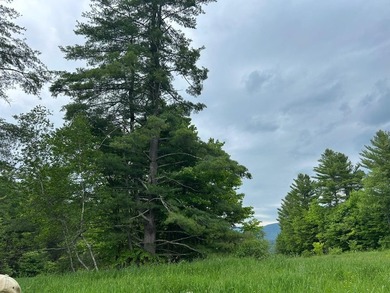 This unique piece of Vermont is now available, offering 10+- - photo 10