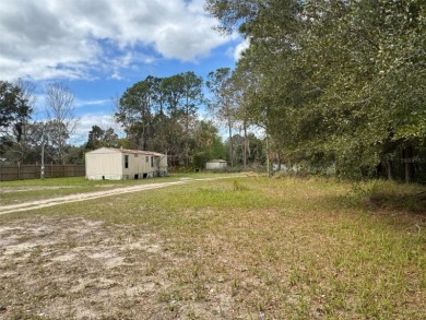 Bowers Lake Home For Sale in Ocklawaha Florida