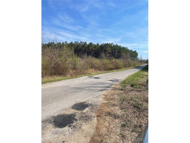 (private lake, pond, coastal) Acreage Sale Pending in Eldridge Alabama