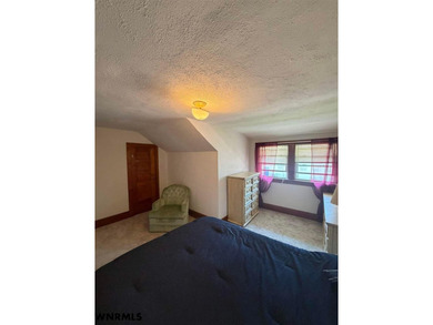 Step into timeless charm with this adorable 1 1/2 story historic - photo 37