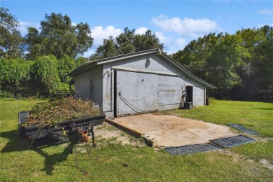 BEAUTIFUL 7 ACRES!!! Come and enjoy this single-family home PLUS - photo 53