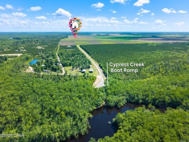 Dead Lake Commercial For Sale in Wewahitchka Florida