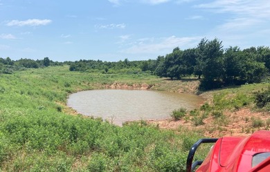 (private lake, pond, creek) Acreage For Sale in Cement Oklahoma