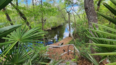 Prime road frontage along Florida State Highway 20 in the - photo 11