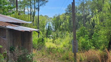 Prime road frontage along Florida State Highway 20 in the - photo 15