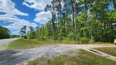 Prime road frontage along Florida State Highway 20 in the - photo 17