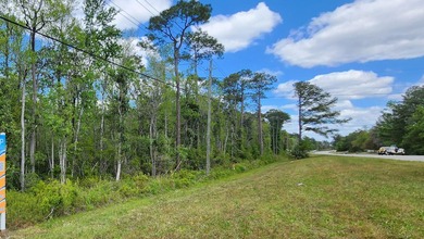 Prime road frontage along Florida State Highway 20 in the - photo 18