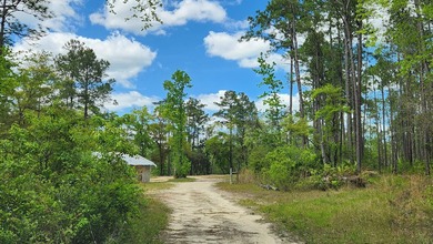 Prime road frontage along Florida State Highway 20 in the - photo 19