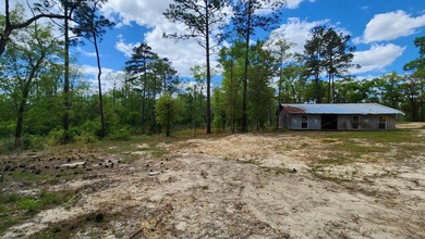 Prime road frontage along Florida State Highway 20 in the - photo 20