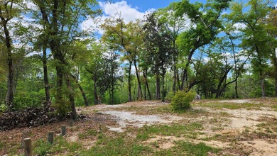 Prime road frontage along Florida State Highway 20 in the - photo 23