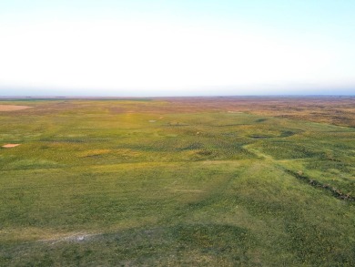 (private lake, pond, creek) Acreage For Sale in Liberal Kansas