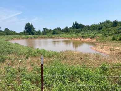 (private lake, pond, creek) Acreage For Sale in Cement Oklahoma