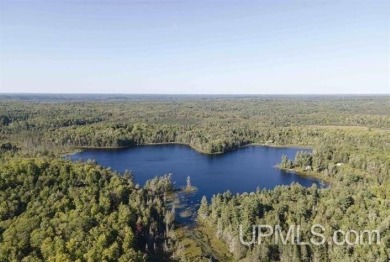 Lake Acreage For Sale in Champion, Michigan
