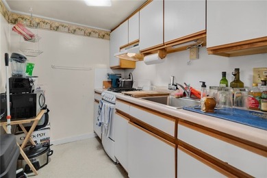 This property rests the heart of Ithaca's vibrant Collegetown - photo 6