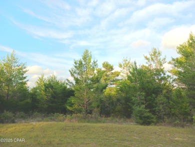 Lake Lot For Sale in Chipley, Florida