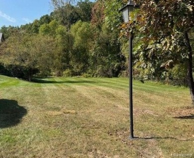 Lake Lot For Sale in Fenton, Michigan