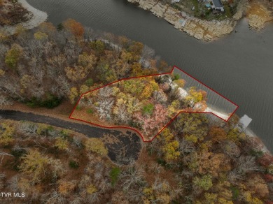 Lake Lot For Sale in Piney Flats, Tennessee