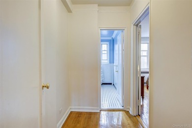 FOREST HILLS SOUTH Very sunny & spacious, 1 Bedroom / 1 Bathroom - photo 21