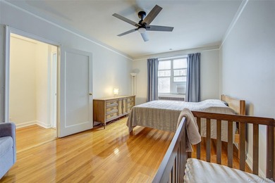 FOREST HILLS SOUTH Very sunny & spacious, 1 Bedroom / 1 Bathroom - photo 23