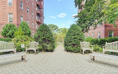 FOREST HILLS SOUTH Very sunny & spacious, 1 Bedroom / 1 Bathroom - photo 35
