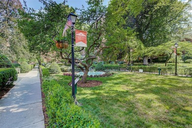 FOREST HILLS SOUTH Very sunny & spacious, 1 Bedroom / 1 Bathroom - photo 36